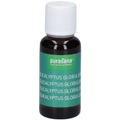 Purasana, purasana® Eukalyptus globulus Öl
