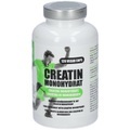Be Green Creatin