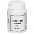 Protein Muskel Fit