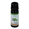 physalis® GRÜNE MINZE