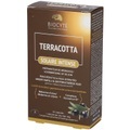 PLAY-OFF, BIOCYTE Terracotta Solaire Intensiv
