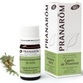 Pranarôm Ätherisches Öl Zypresse der Provence Bio