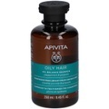 APIVITA OILY HAIR Shampoo