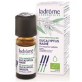 Ladrôme Ätherisches Öl Eukalyptus radiata Bio