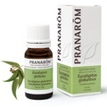 Pranarôm Pranarom Eukalyptus