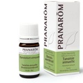 Pranarôm Pranarom Tanacetum Annuum