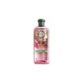 Herbal Essences Haarshampoo Blütensanft Rose 350ml