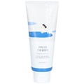 Round Lab Birch Juice Moisturizing Cleanser
