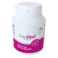 LacVital, LacVital® Colostrum Kapseln