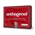 Original Masqueliers Anthogenol OPC Kapseln - 75 Kapseln