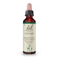 Nelsons GmbH Bach®-Blüte Centaury (Tausendgüldenkraut)