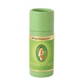 Primavera® Angelikawurzel