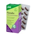 SALUS Pharma GmbH Salus® Floradix® Eisen plus B-Vitamine