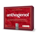 Original Masqueliers Anthogenol OPC Kapseln - 90 Kapseln