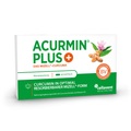 Cellavent Healthcare GmbH, Cellavent Healthcare GmbH Acurmin Plus®+ Das Mizell-Curcuma