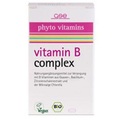 GSE Vertrieb Biologische Nahrungsergänzungs- & Heilmittel GmbH, vitamin B complex