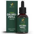 Feelgood Shop B.V., Vitactiv Chlorophyll Folsäure +