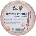 Edis Lernen und Prüfung Bachblüten Pastillen