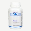 Burgerstein, Burgerstein Probase, Pulver 125 g