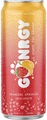 Gönrgy Erdbeere Aprikose Dose 500ml
