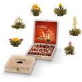 Creano Erbl?htee 12er Holz-Box, 6