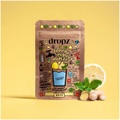 dropz Pure Zitrone Ingwer Minze