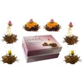 Creano, Creano Erbl?htee 6er Box, 3 Teesorten