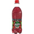 Wild Crocodile Smooth Berry 0.5l