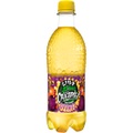 Wild Crocodile Tropical Orange 0.5l