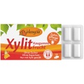 Birkengold, Kaugummi Frucht Xylit 17g