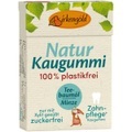 Birkengold, Xylit Kaugummi Teebaumöl-Minze Natur-Kaumasse 28g