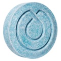 everdrop - Shampoo Bar Pine Edition