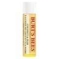 Burt's Bees, Burt's Bees Coconut & Pear Lip Balm Lippenpflege 4.25 g