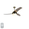 Moderner Deckenventilator Messing mit Rauchschaufeln - Bora 52