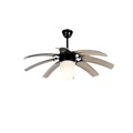 Deckenventilator schwarz mit Fernbedienung - Flügel 42