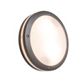 Wand- und Deckenleuchte anthrazit IP54 - Glow