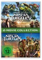 undefined, Teenage Mutant Ninja Turtles / Teenage Mutant Ninja Turtles: Out Of The Shadows, 2 DVD