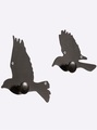 Wandhaken in schwarz von heine home
