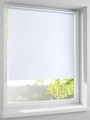 heine home, Rollo