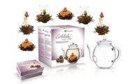Creano Teekanne 0.5 l Transparent, Farbe