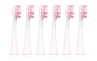 Ailoria 6er Pack Extra Clean Bürstenkopf Zubehör weiss