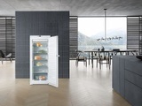 Miele Stand-Gefrierschrank mit NoFrost und EasyOpen-Hebelgriff für besten Komfort. FN 24062 ws