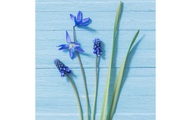 Paper + Design Paper + Design Servietten Blue