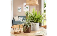 scheurich Blumentopf Cottage 14.2 cm, Weiss