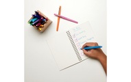 Paper Mate, Paper Mate Fineliner Flair Medium Candy Pop 0.7 mm, 12 Stück
