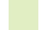 PAPYRUS Rainbow Papier FSC A3 88042588 80g, grün 500 Blatt