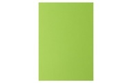 PAPYRUS Rainbow Papier FSC A4 88043110 leuchtend grün, 120g 250 B