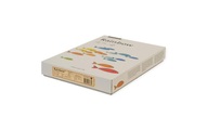 PAPYRUS Rainbow Papier FSC A3 88042657 120g, grün 250 Blatt