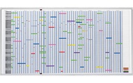 Franken, Franken Planer Personal- und Projektplaner 100 cm x 193 cm, Weiss