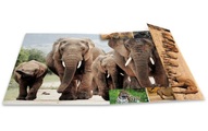 HERMA Gummibandmappe A4 Afrika, Karton, mit Innendruck